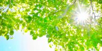 重かった体も耳周辺も、すっかり軽くなって・・・！